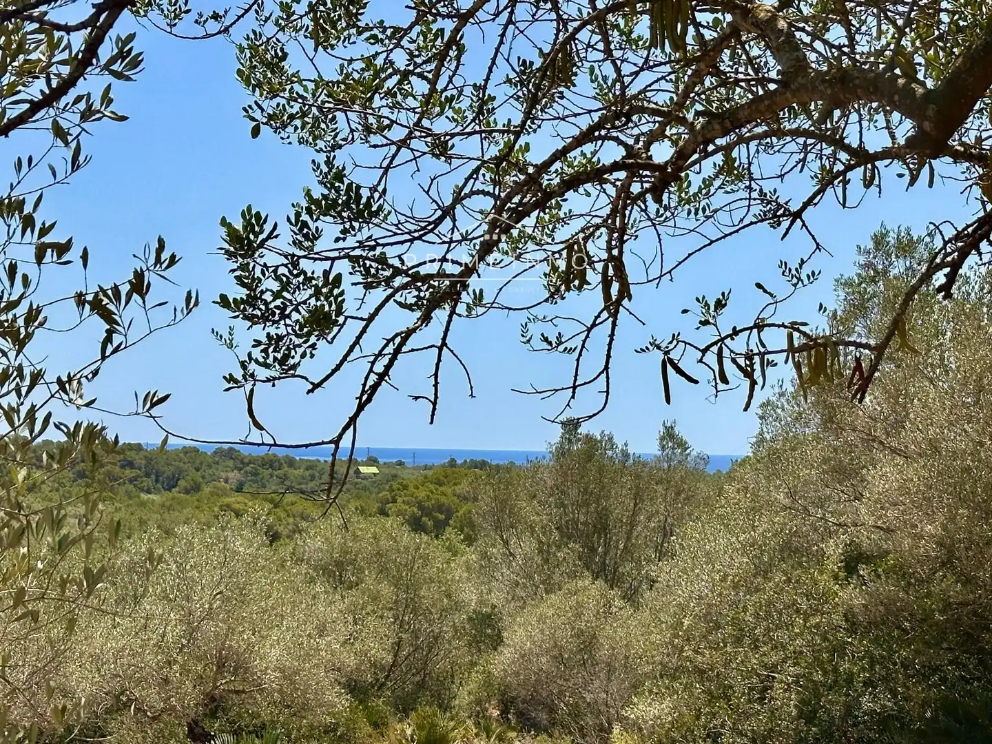 Finca rústica en venta en L'Ametlla de Mar 
