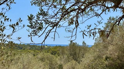 Foto 4 de Finca rústica en venda a Roques Daurades - L'Estany, L'Ametlla de Mar