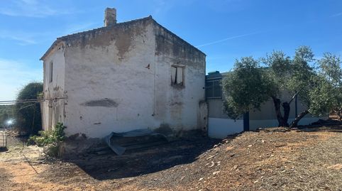 Finca de olivar en Jaén con riego, naves y cosecha, imatge 4