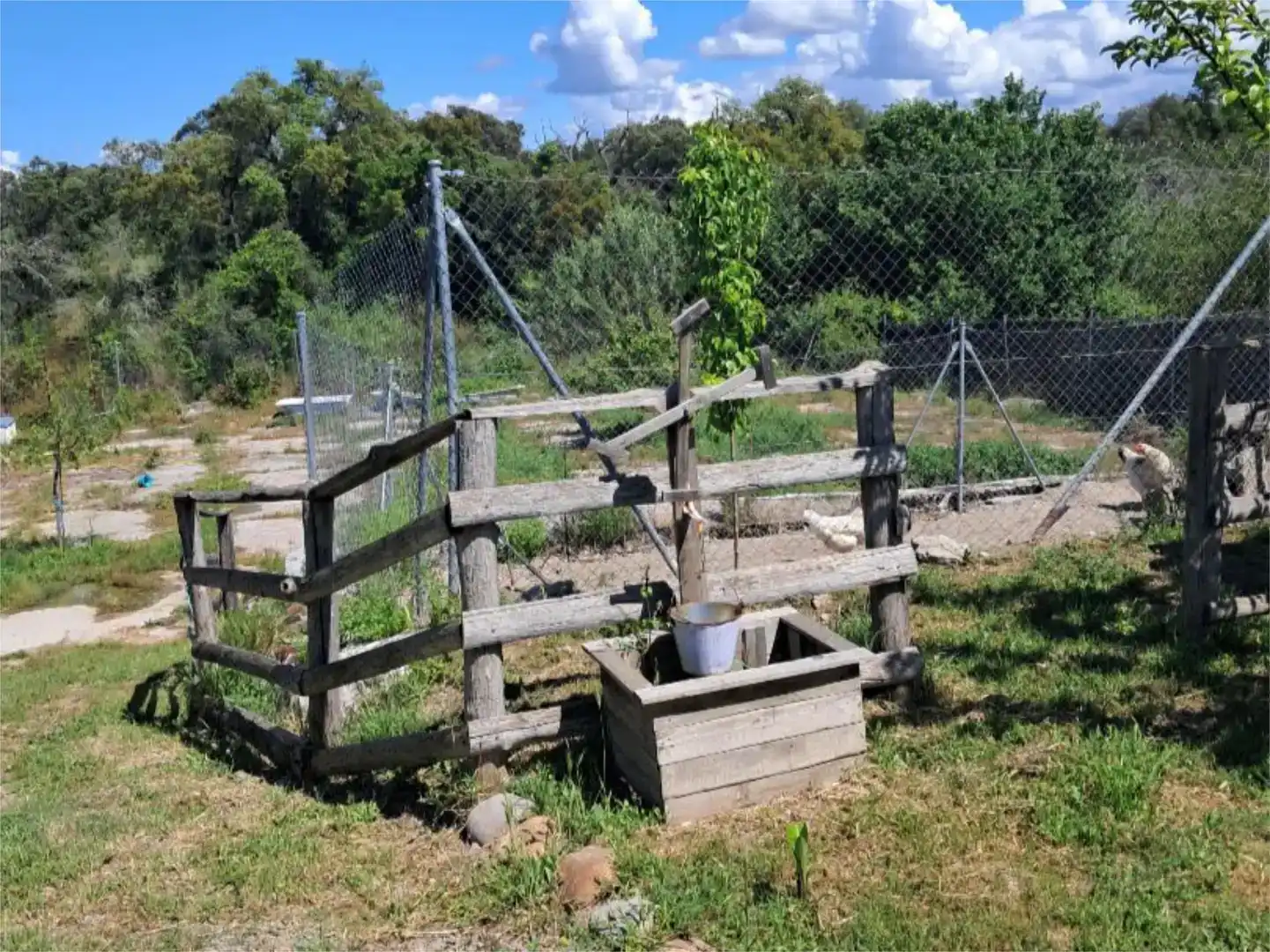 Jardí de Pis en venda en Navalmoral de la Mata amb Aire condicionat, Jardí privat i Traster