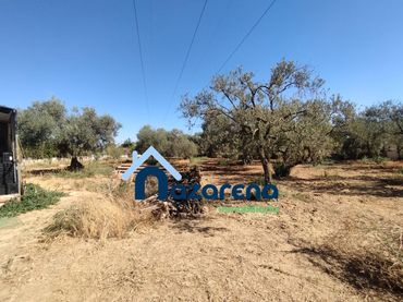 Terreno rustico in vendita a Oromana