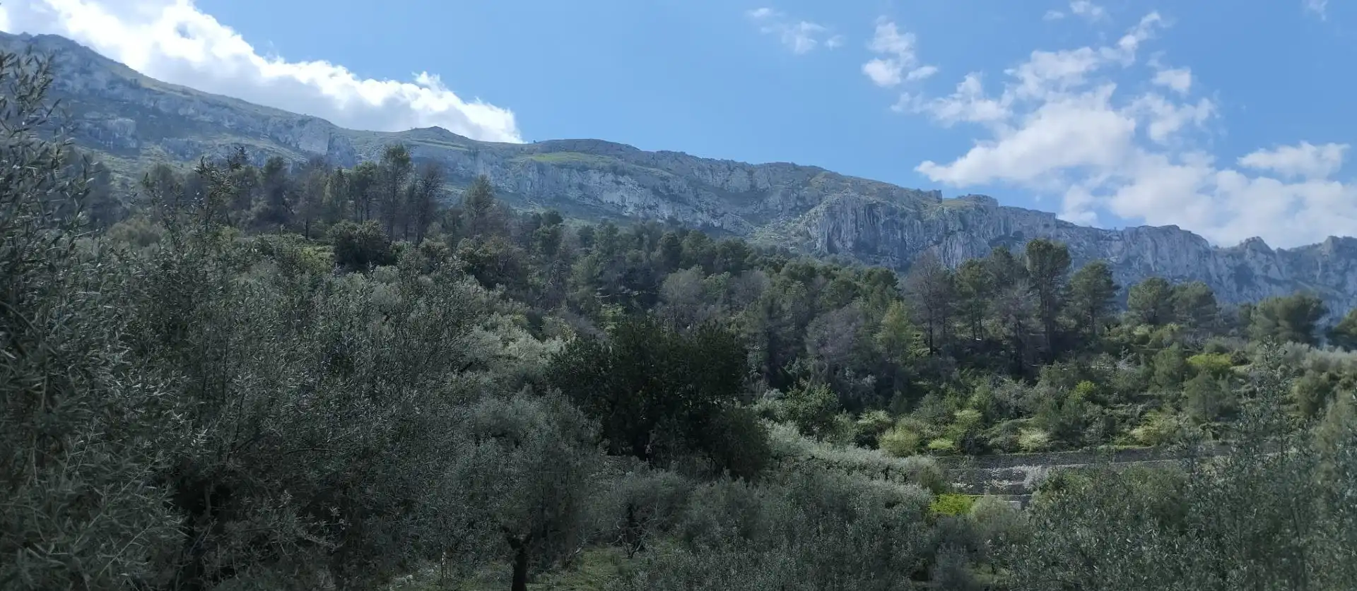 Terreny rústic en venda a La Vall de Gallinera, imagen 11