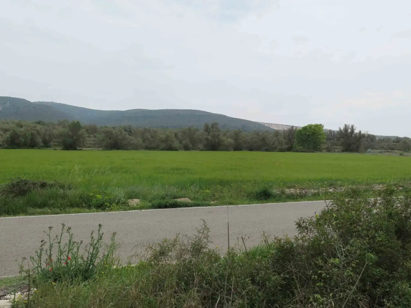 Rustikales Grundstück zum Verkauf in Camí Miliana 1, imagen 5