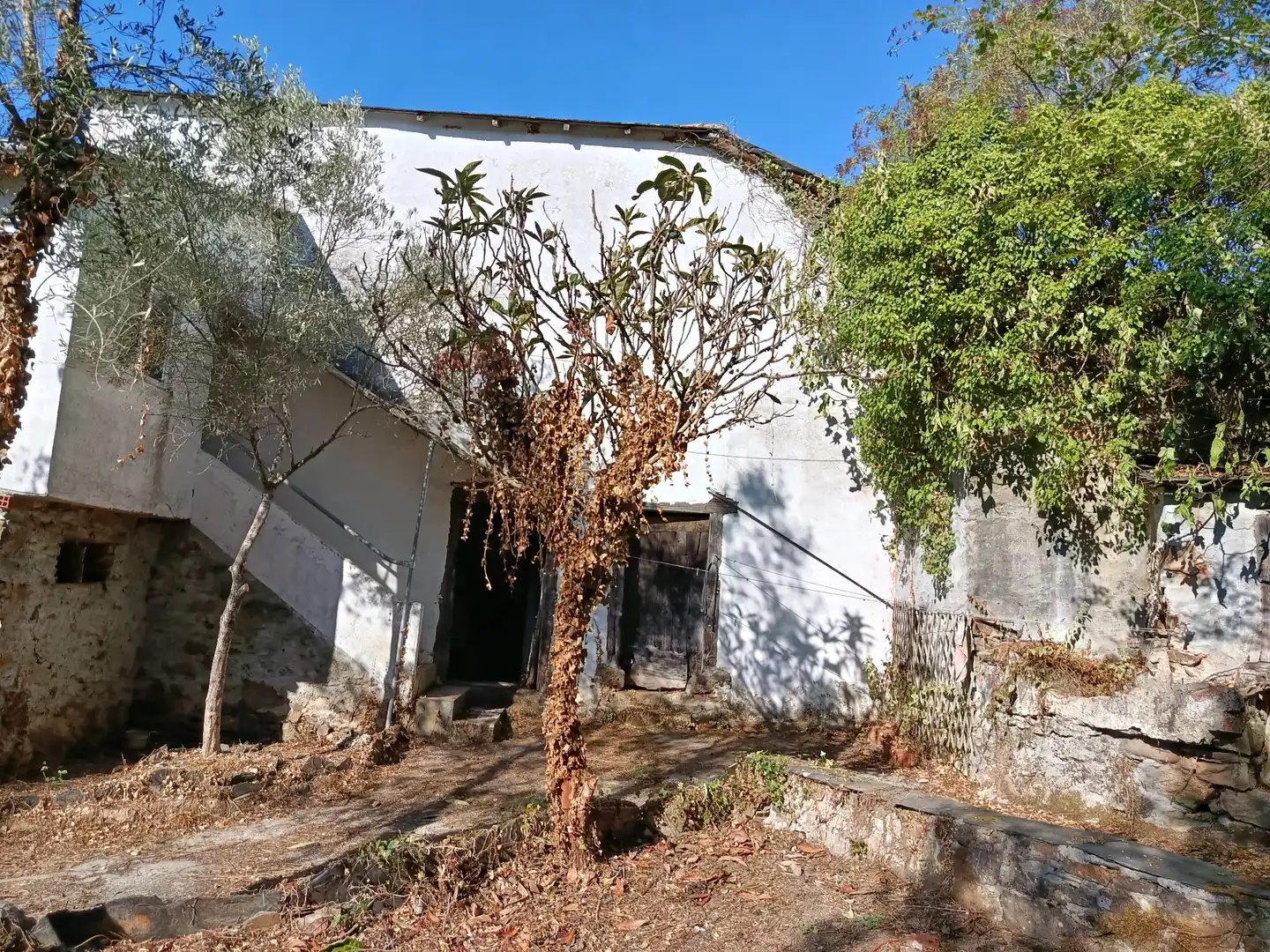 Vista exterior de Finca rústica en venda en A Pobra do Brollón  amb Jardí privat, Moblat i Forn