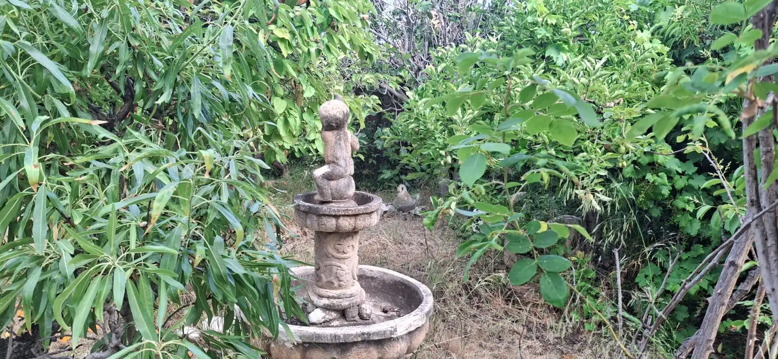 Jardí de Casa o xalet en venda en Cadrete amb Calefacció, Jardí privat i Terrassa