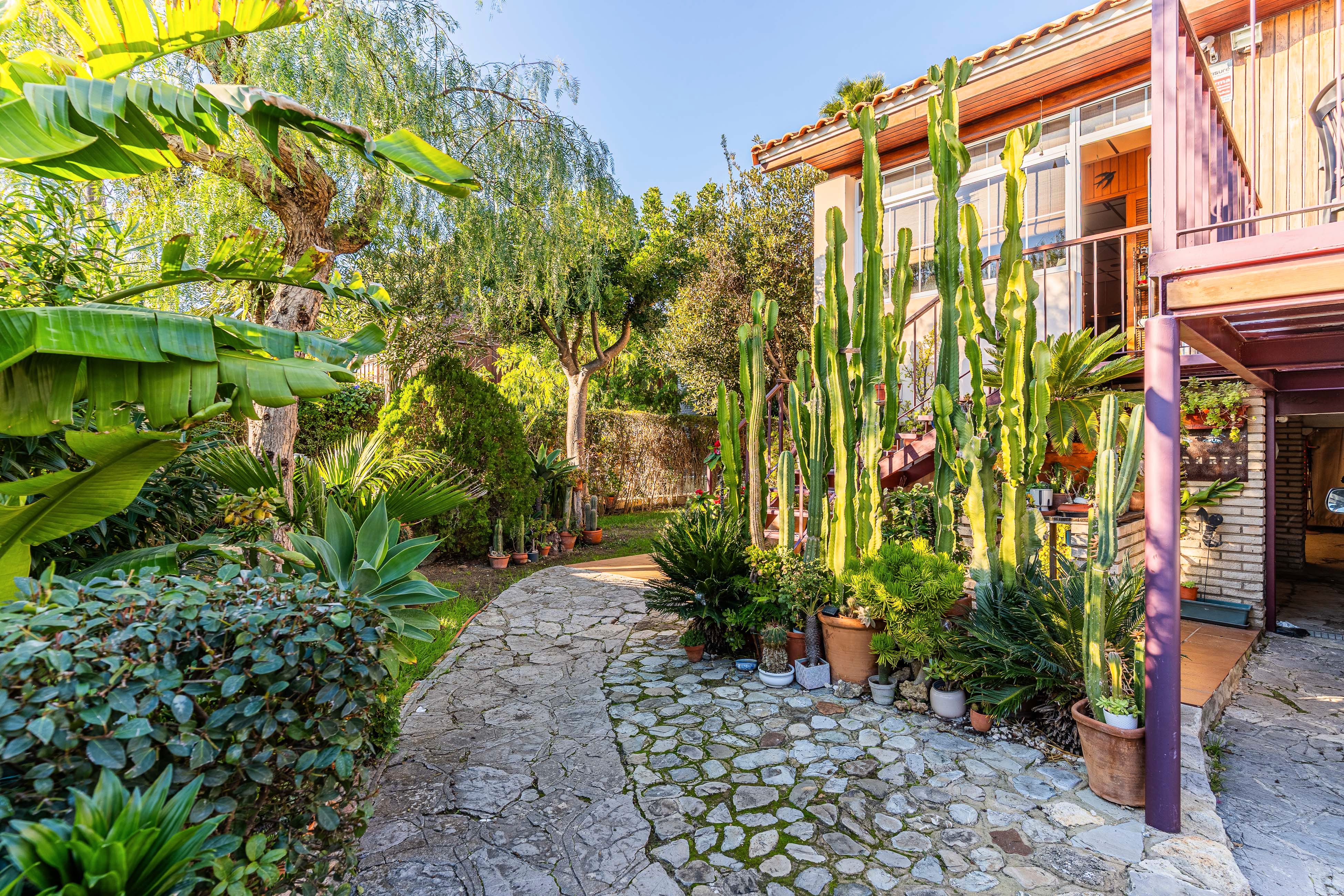 Casa o chalet en venta en Los Gallos