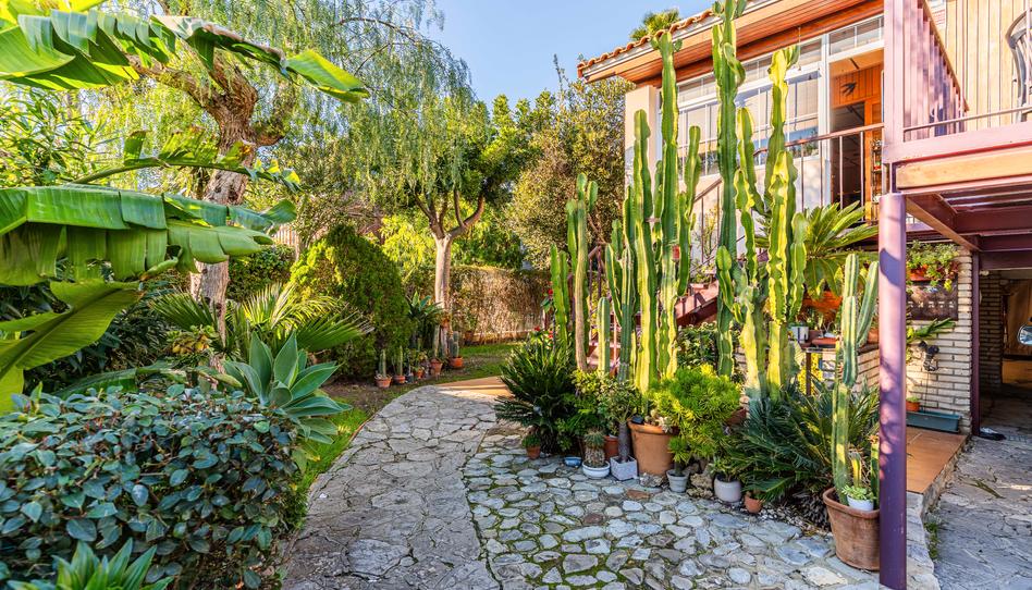 Foto 1 de Casa o chalet en venta en Los Gallos, Cádiz