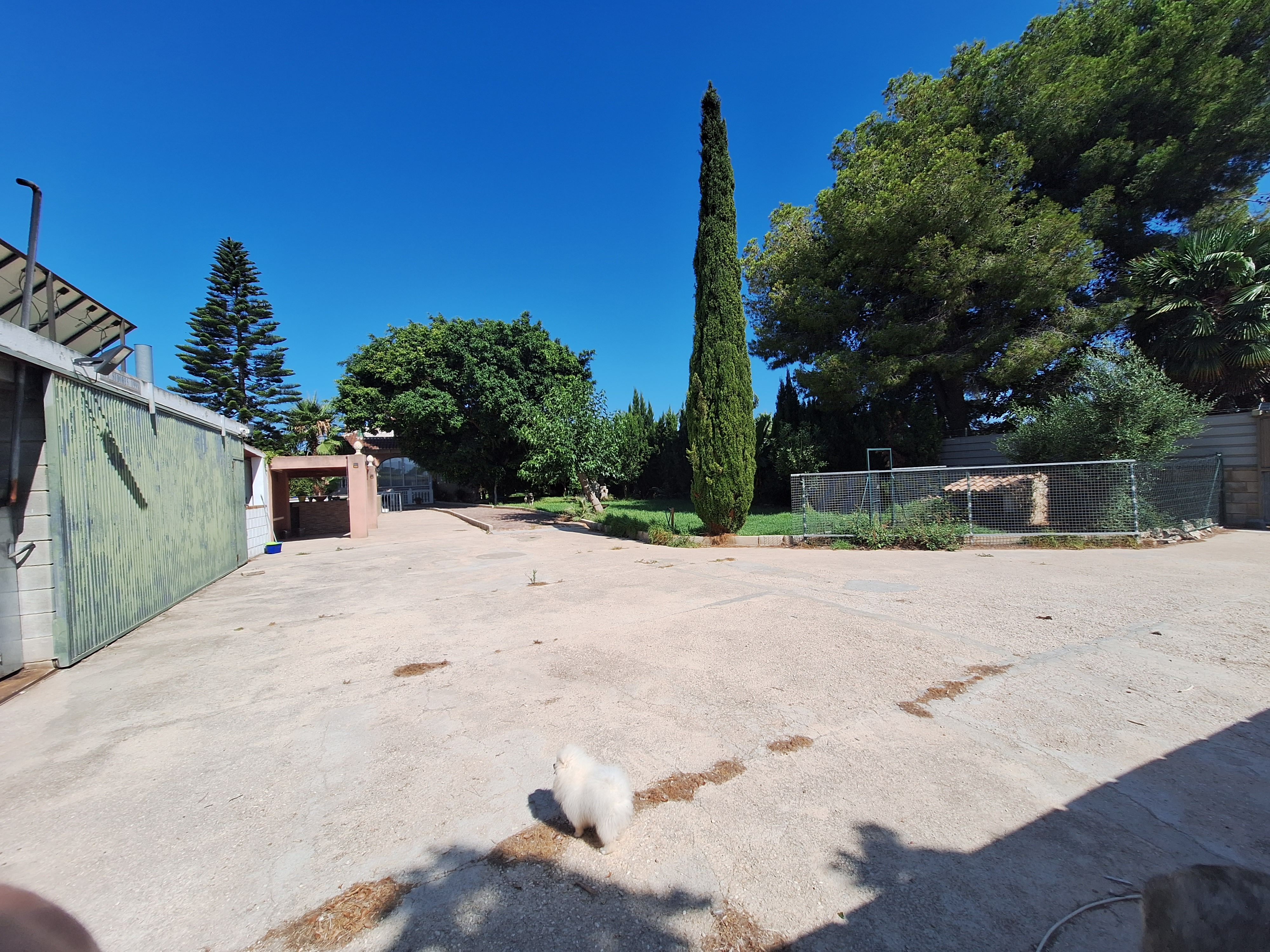 Garden of Country house for sale in Sueca  with Terrace, Swimming Pool and Furnished