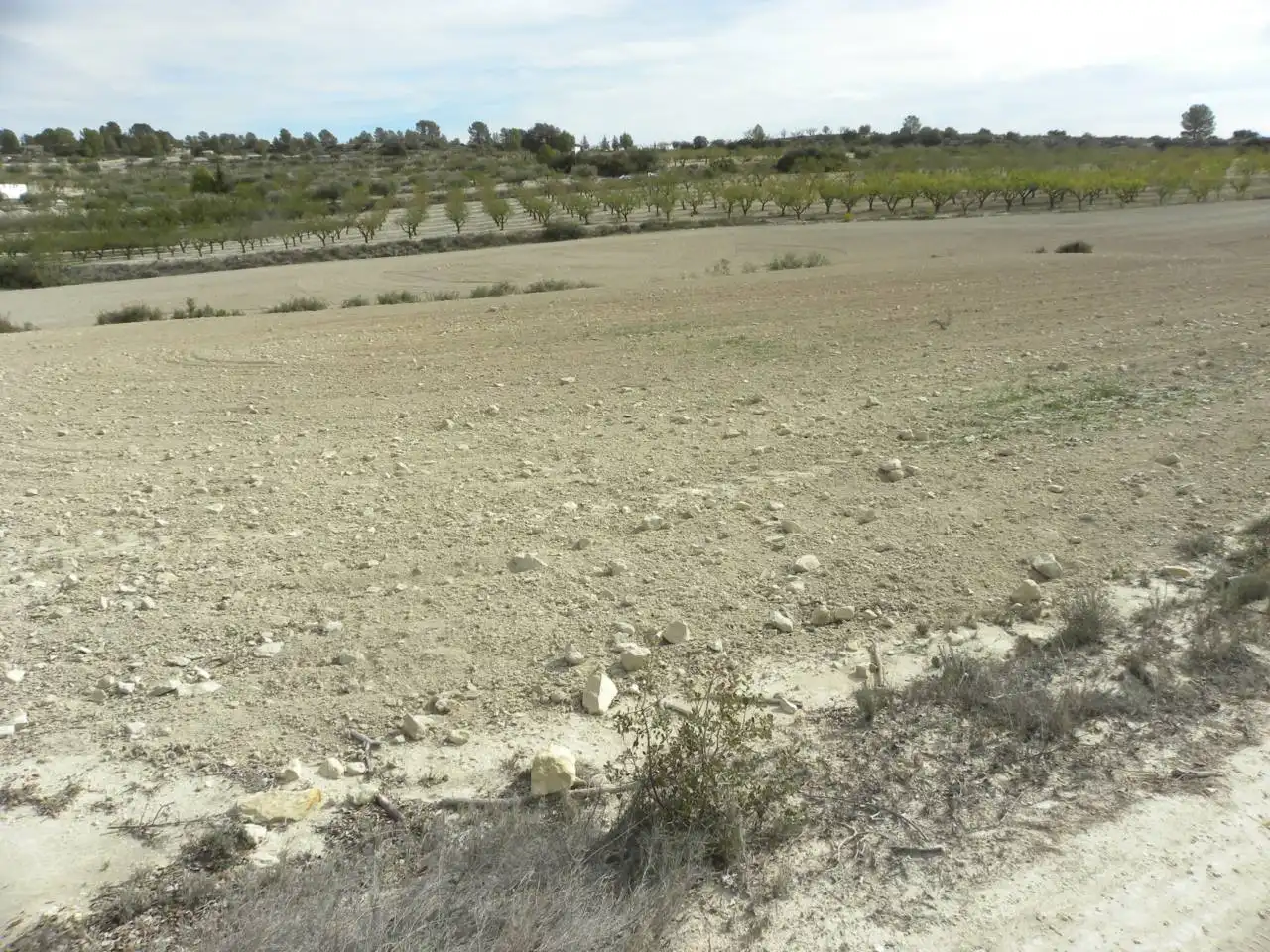Terreno residencial en venta en Caravaca de la Cruz, imagen 4