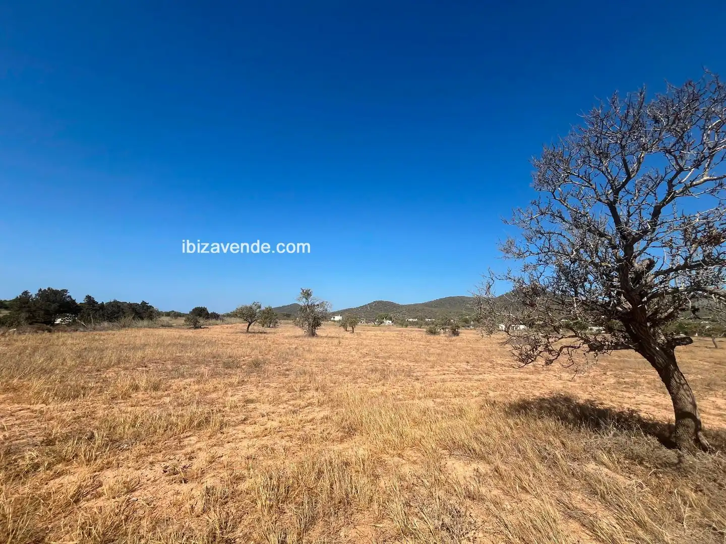 Land for sale in Diseminado de Sa Caleta, Sant Jordi de Ses Salines - Sant Francesc