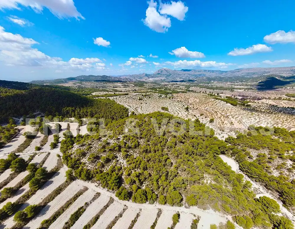 Finca rústica en venta en Jijona / Xixona
