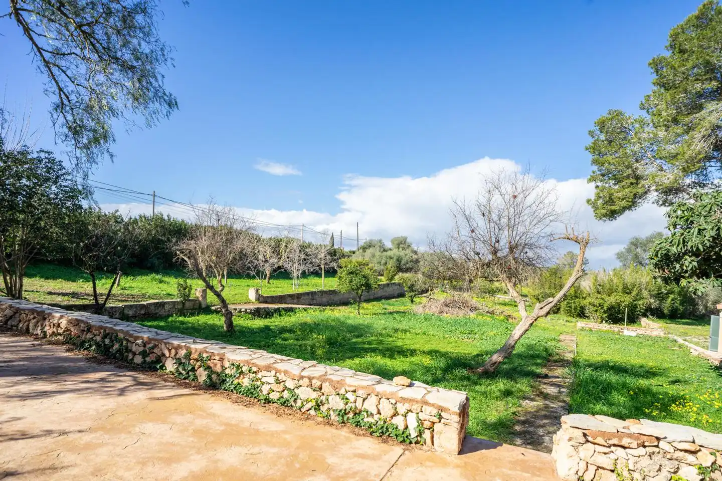 Country house with pool for sale in SEGREGACION RUSTICA, imagen 43