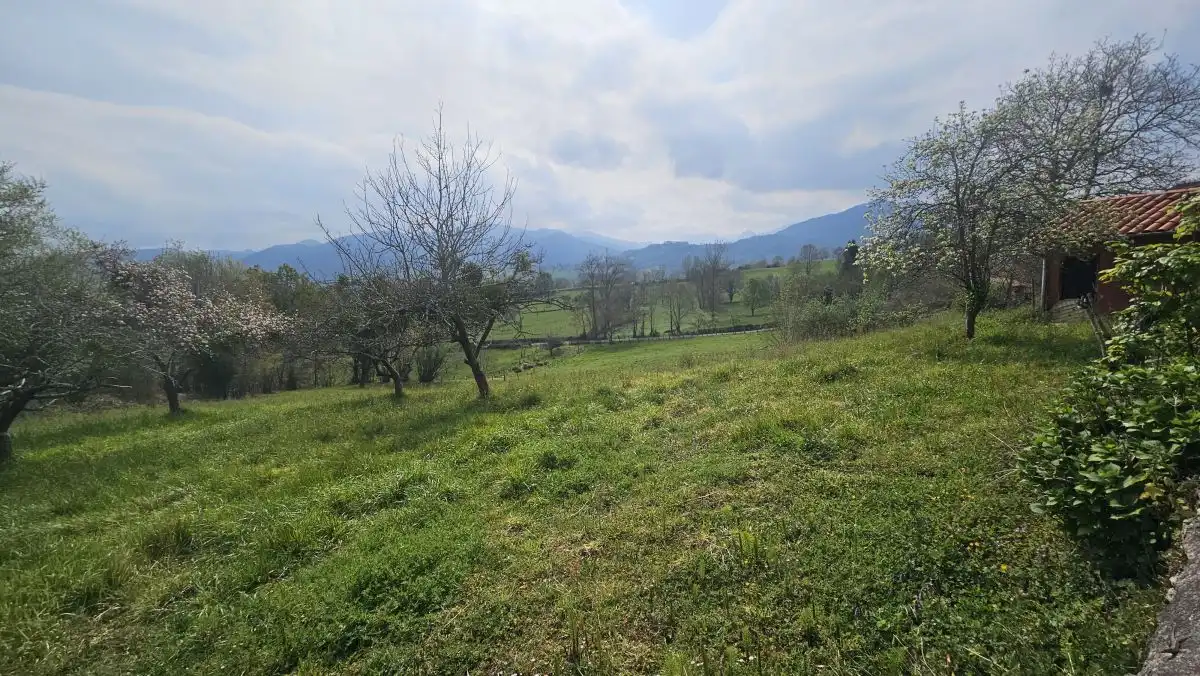 Terrenys i solars en venda a Nava, imagen 2