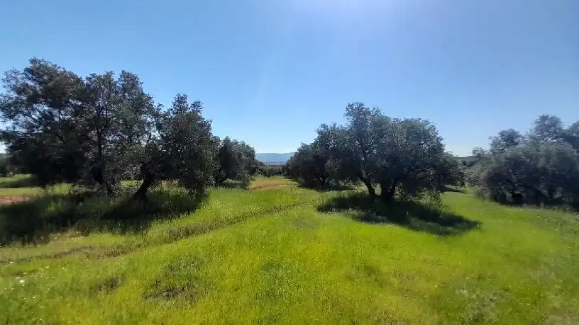 Terreni e lotti in vendita a Calle Polg. Sorihuela del Guadal, imagen 4