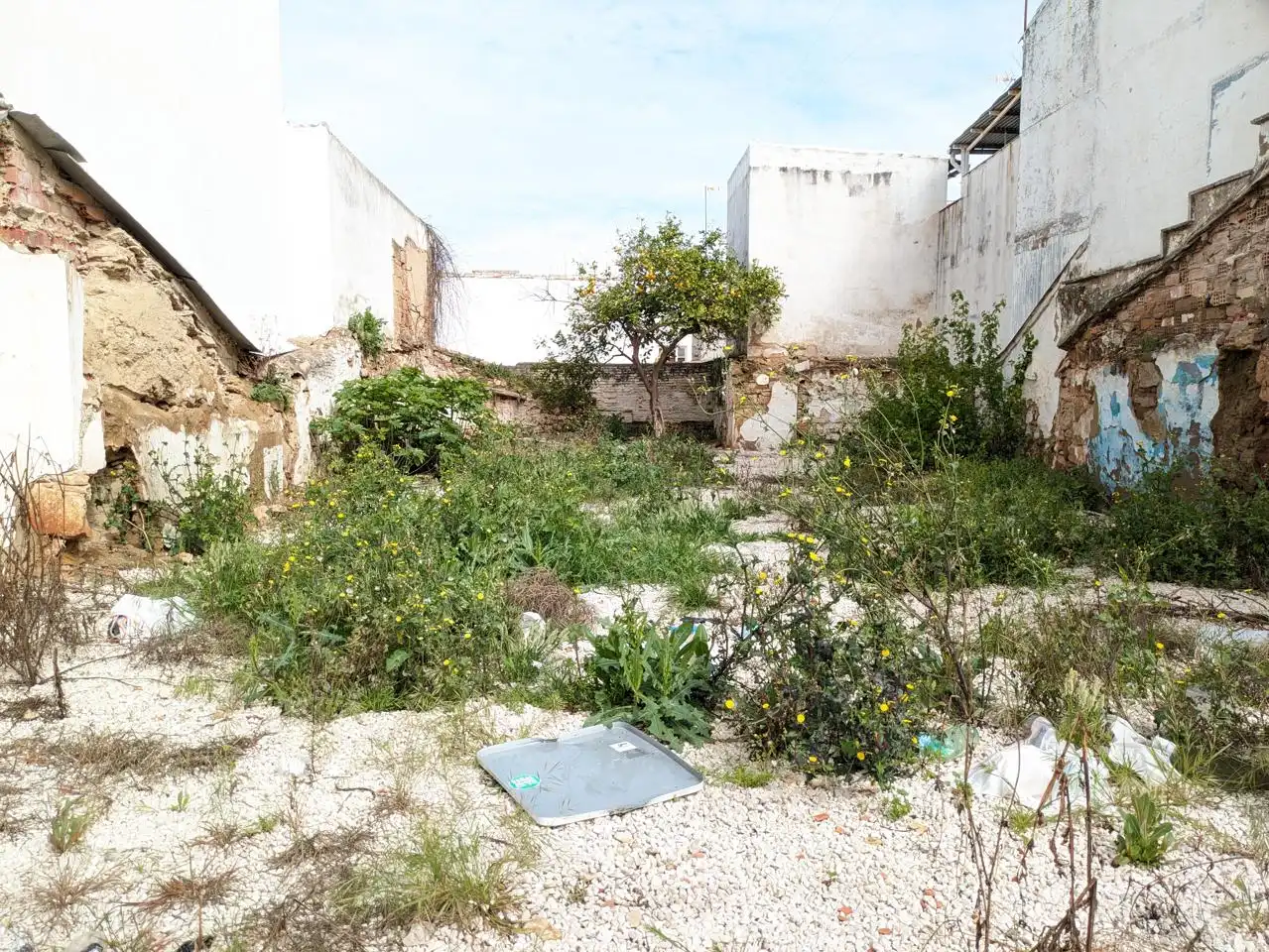 Terreni e lotti in vendita a Centro ciudad, imagen 4