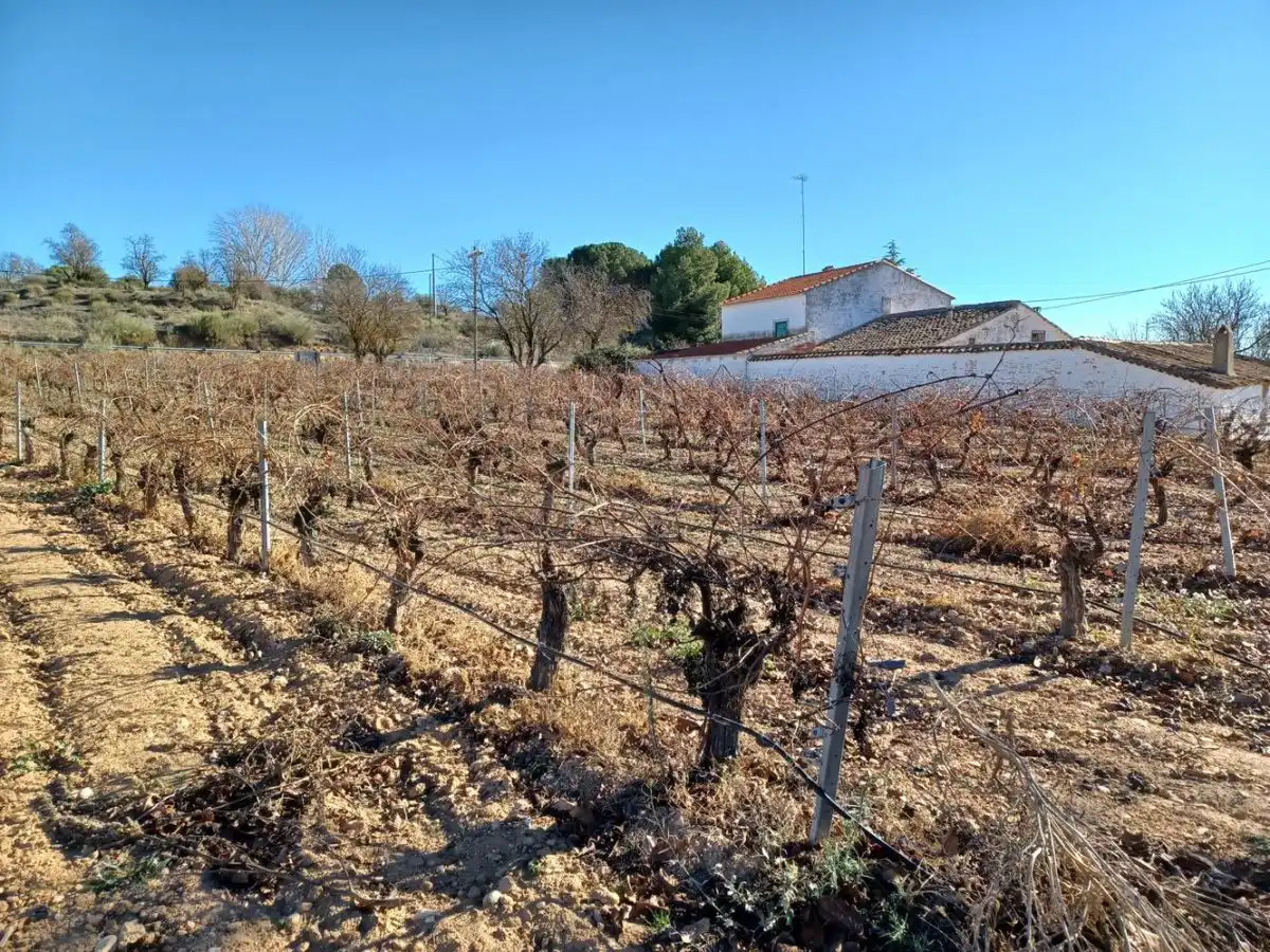 Finca rústica en venta en Villalgordo del Júcar
