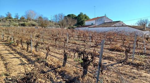 Foto 4 de Finca rústica en venta en Villalgordo del Júcar, Albacete