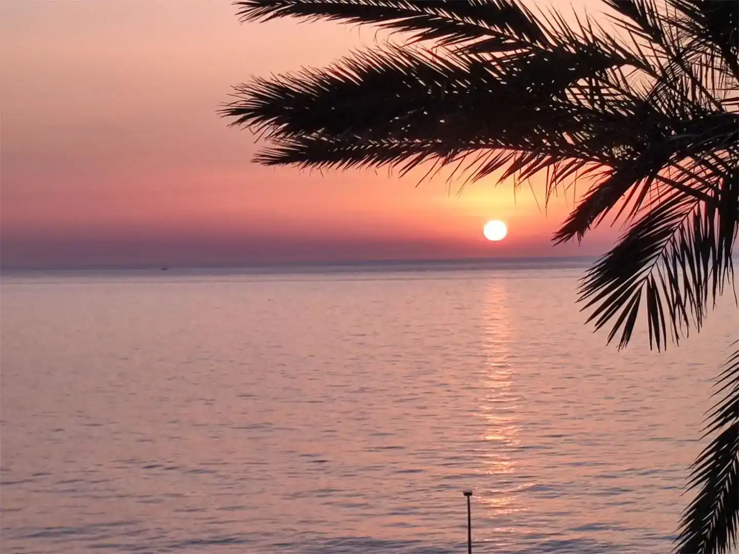 Flat for rent in Dénia  with Air Conditioner, Private garden and Storage room