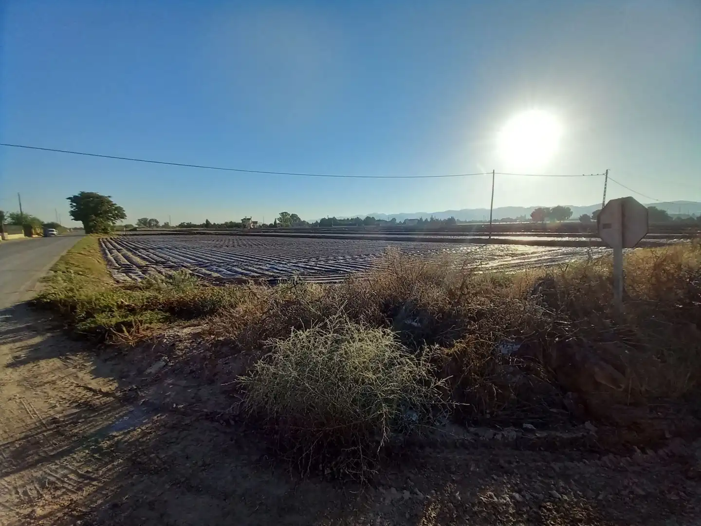 Lands and plots for sale in Pedanías Sur, imagen 2