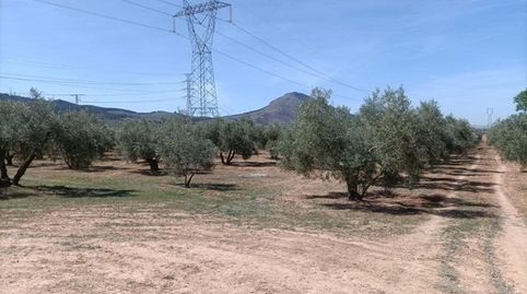 Foto 5 de Finca rústica en venta en Polígono la Zanja, Albolote, Granada