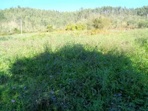 Terreno rustico in vendita a Parroquias suroccidentales, imagen 18