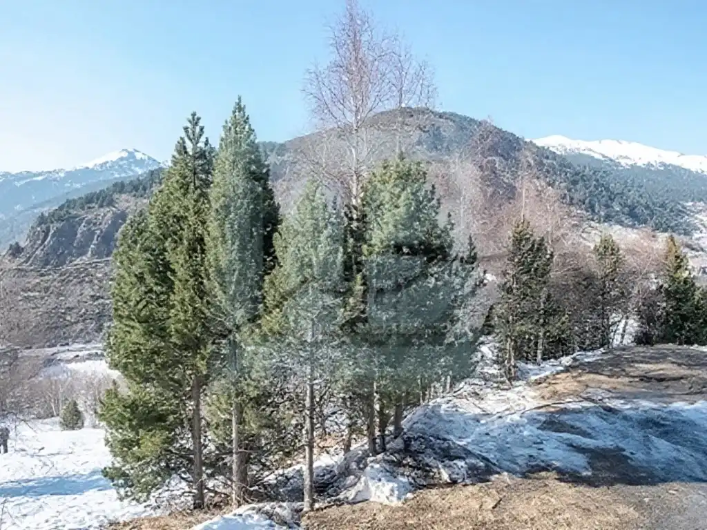 Appartement compact avec ascenseur à vendre à Soldeu - Incles, imagen 6