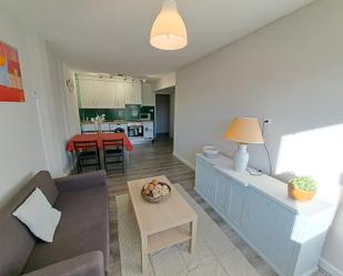 Living room of Flat to rent in Bilbao   with Heating, Furnished and Oven