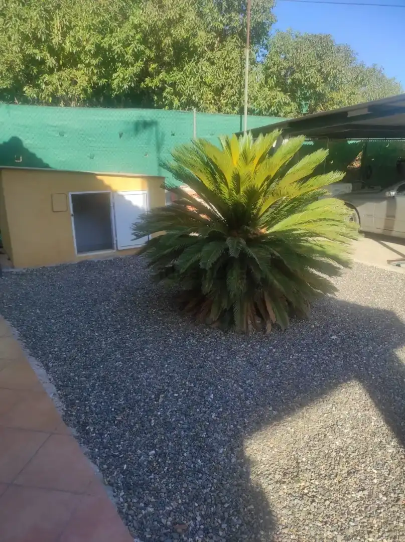 Jardín de Finca rústica en venta en Alhaurín El Grande con Aire acondicionado, Jardín privado y Trastero