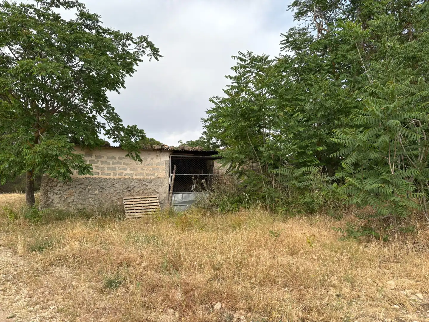 Terreno rústico en venta en Cortes de Baza, imagen 8