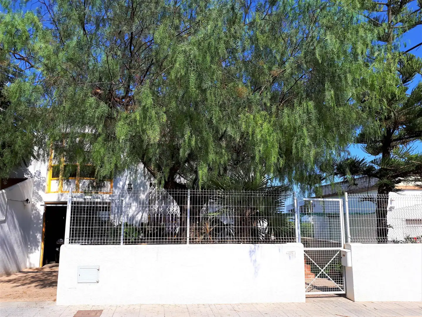 Detached house with garden for sale in Alcanar, imagen 4