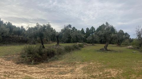 Finca rústica en Valderrobres, immagine 5