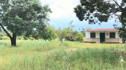 Finca en concesión de 6.500 m con casa de aperos y pozo a 5 km de Almonte Huelva