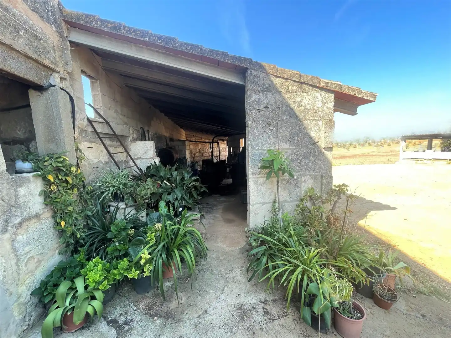 Vista exterior de Finca rústica en venta en Muro con Jardín privado, Terraza y Trastero