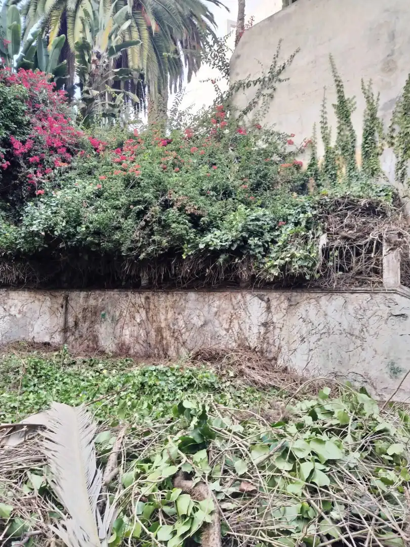 Commercial properties for sale in Icod de los Vinos