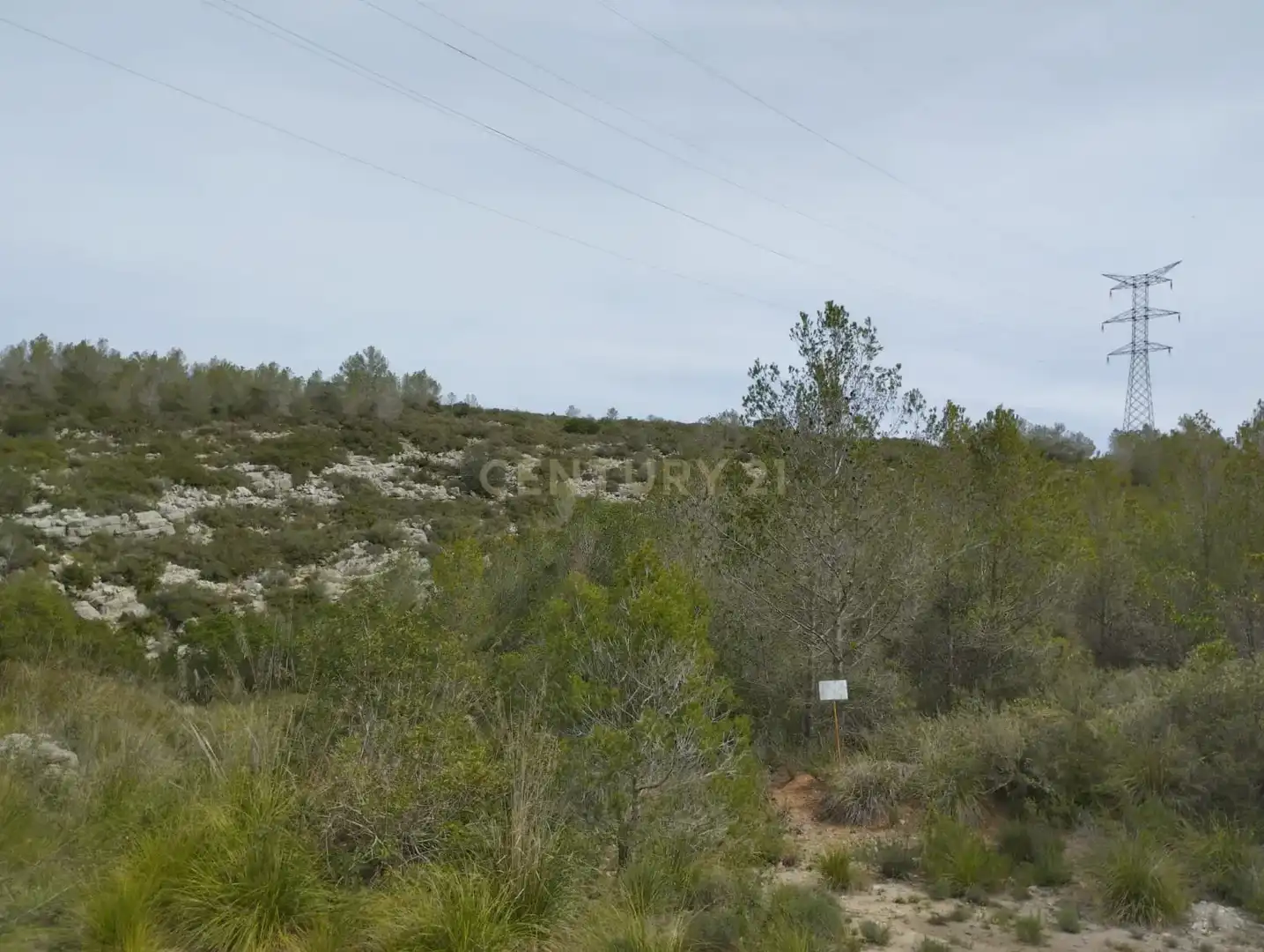 Terreny rústic en venda a poligono 3, imagen 22