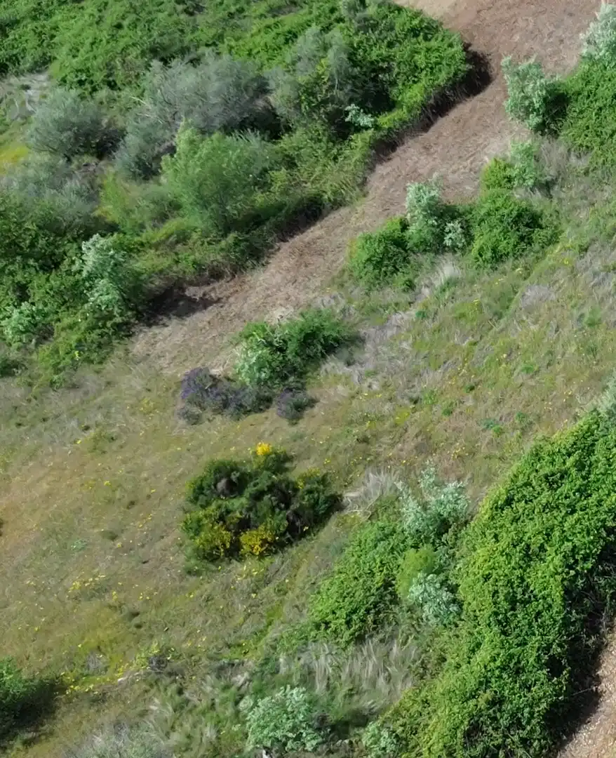Terreni e lotti in vendita a Viandar de la Vera, imagen 9