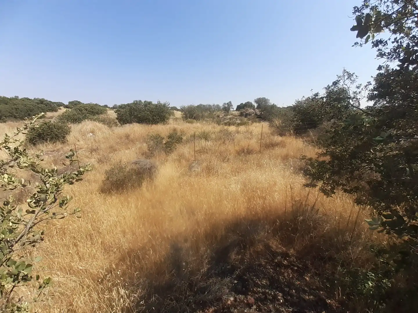 Land for sale in Almeida de Sayago