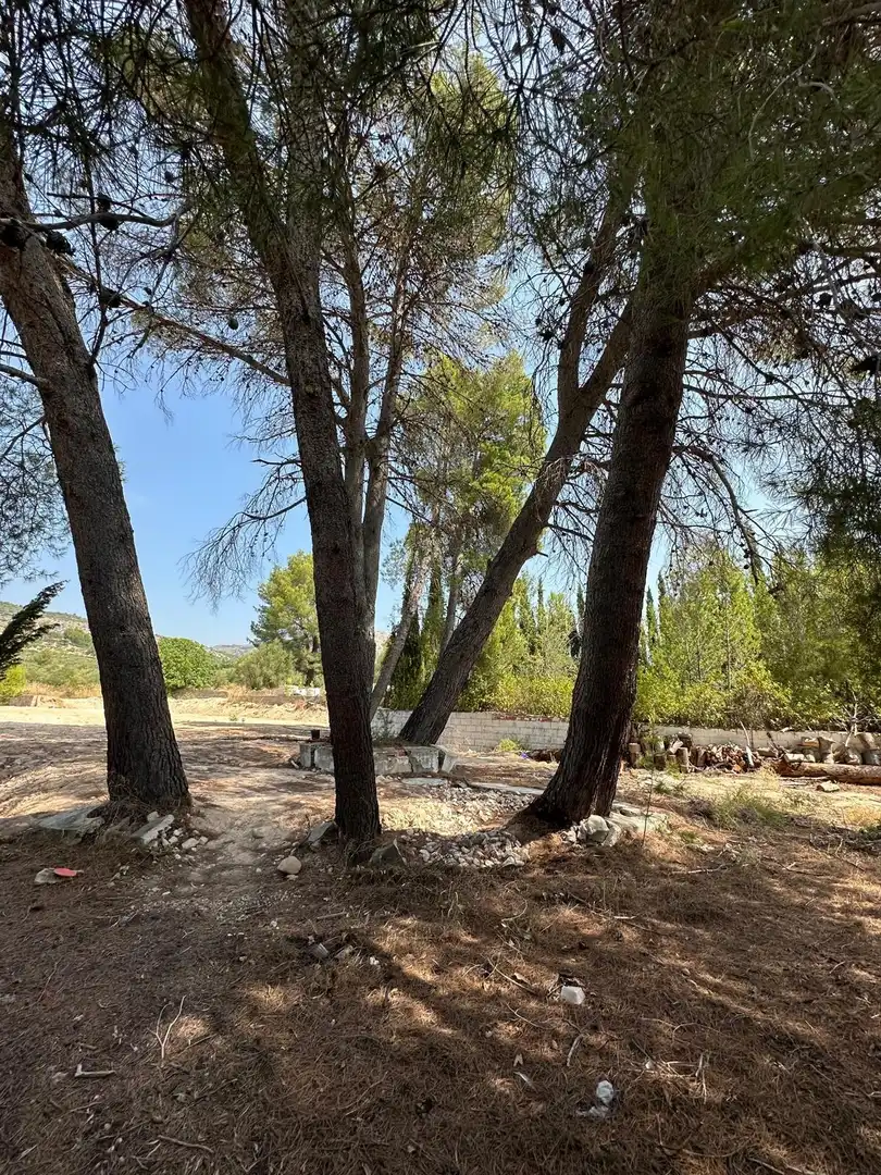 Maison à vendre à Muro de Alcoy, imagen 44