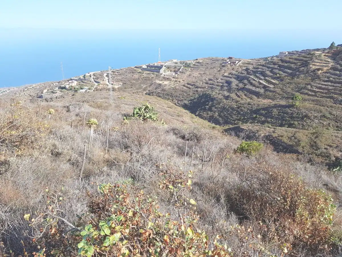 Grundstücke zum Verkauf in Güímar
