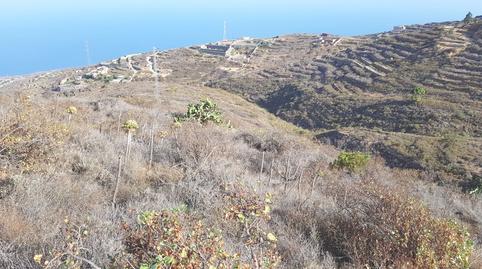 Photo 4 of Land for sale in Vial Camino Camino de Anocheza, 2, El Escobonal - Pájara, Güímar