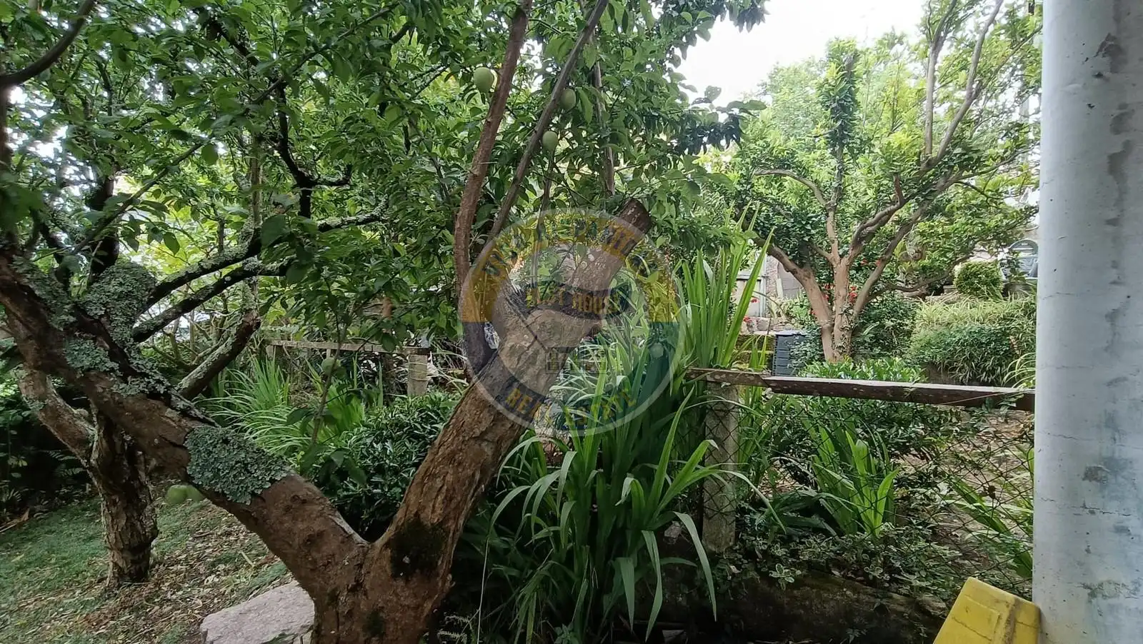 Jardín de Casa o chalet en venta en Vigo  con Calefacción, Jardín privado y Terraza