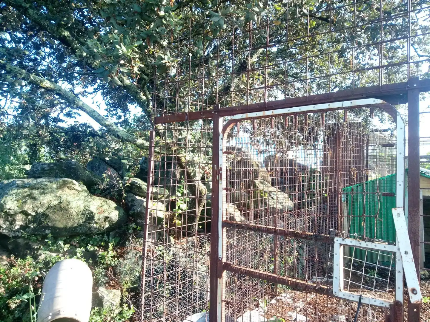 Terreni e lotti in vendita a Castilblanco de los Arroyos, imagen 25