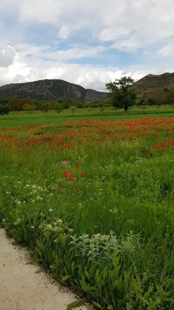 Jardí de Dúplex en venda en Salvacañete amb Moblat, Forn i Rentadora