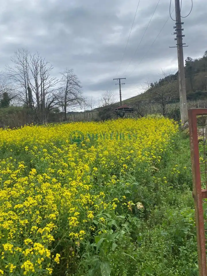 Casa con giardino in vendita a Castrelo de Miño, imagen 6