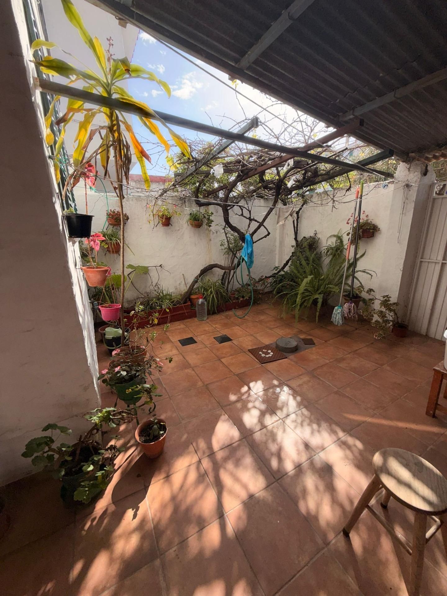 Jardín de Casa o chalet en venta en Algeciras con Jardín privado, Terraza y Balcón