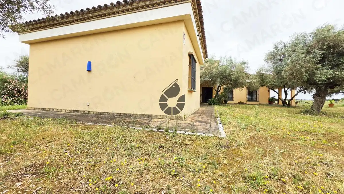 Jardín de Finca rústica en venta en Almensilla con Aire acondicionado y Jardín privado