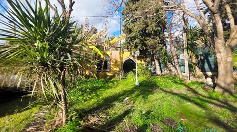 Casa en gran parcela de 6.500 m2 rodeada de tierras rústicas en Gava. Oportunidad., imatge 3