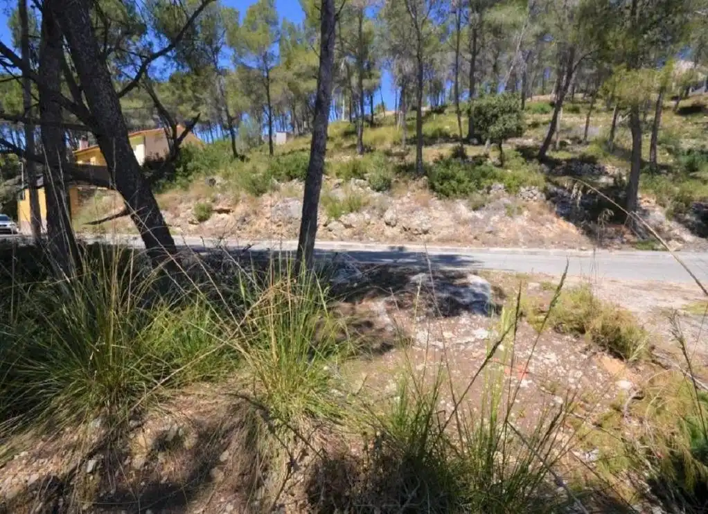 Terreny residencial en venda a Cometa, imagen 12