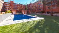 Swimming pool of Flat to rent in  Madrid Capital  with Parquet flooring, Oven and Pets allowed