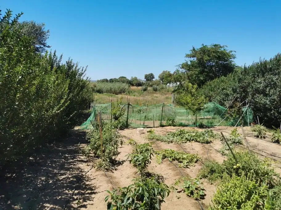 Houses for sale in Barbate  with Air Conditioner, Private garden and Terrace